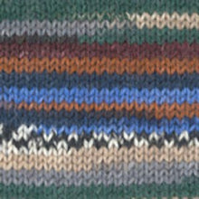 Load image into Gallery viewer, Dizzy Sheep - Adriafil KnitCol _ 076, Forest Fancy, Lot: 211