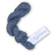 Load image into Gallery viewer, Dizzy Sheep - _Berroco Cambria