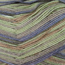 Load image into Gallery viewer, Dizzy Sheep - Berroco Comfort Sock _ 1810, Invercargill, Lot: 2933