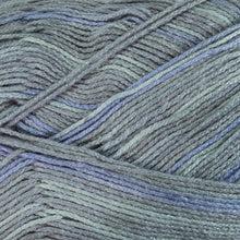 Load image into Gallery viewer, Dizzy Sheep - Berroco Comfort Sock _ 1811, Hari Hari, Lot: 3045