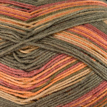 Load image into Gallery viewer, Dizzy Sheep - Berroco Comfort Sock _ 1812, Stewart Island, Lot: 2776
