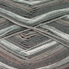 Load image into Gallery viewer, Dizzy Sheep - Berroco Comfort Sock _ 1814, Dunedin, Lot: 2960