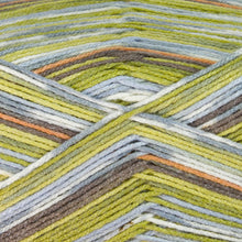 Load image into Gallery viewer, Dizzy Sheep - Berroco Comfort Sock _ 1815, Fruit Cocktail, Lot: 2870