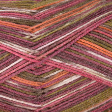 Load image into Gallery viewer, Dizzy Sheep - Berroco Comfort Sock _ 1816, Cosmopolitan, Lot: 2933