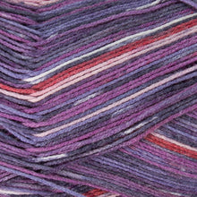 Load image into Gallery viewer, Dizzy Sheep - Berroco Comfort Sock _ 1818, English Garden, Lot: 3045