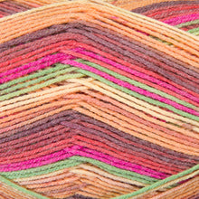 Load image into Gallery viewer, Dizzy Sheep - Berroco Comfort Sock _ 1822, Akaro, Lot: 2695