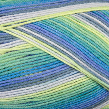 Load image into Gallery viewer, Dizzy Sheep - Berroco Comfort Sock _ 1824, Taupo, Lot: 2995