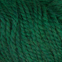 Load image into Gallery viewer, Dizzy Sheep - Berroco Ultra Alpaca Chunky _ 72184 Emerald Mix lot 2K3971