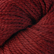 Load image into Gallery viewer, Dizzy Sheep - Berroco Ultra Alpaca Chunky _ 7281 Redwood Mix lot 7B6449