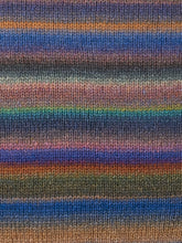 Load image into Gallery viewer, Dizzy Sheep - Berroco Wizard _ 2954, Unakite, Drop Ship Item