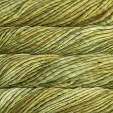 Load image into Gallery viewer, Dizzy Sheep - Malabrigo Rasta _ 037, Lettuce, Lot: -----
