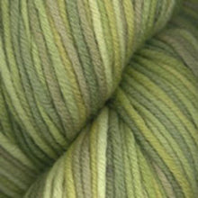 Load image into Gallery viewer, Dizzy Sheep - Plymouth Worsted Merino Superwash Hand Dyed _ 0101, Lime Tango, Lot: 12025