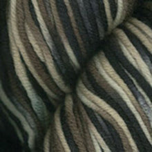 Load image into Gallery viewer, Dizzy Sheep - Plymouth Worsted Merino Superwash Hand Dyed _ 0102, Tortoise Shell, Lot: 29834
