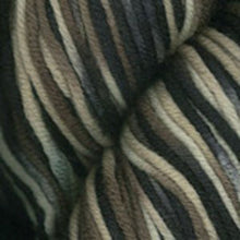 Load image into Gallery viewer, Dizzy Sheep - Plymouth Worsted Merino Superwash Hand Dyed _ 0102, Tortoise Shell, Lot: 29834