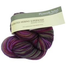 Load image into Gallery viewer, Dizzy Sheep - Plymouth Worsted Merino Superwash Hand Dyed