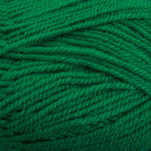 Load image into Gallery viewer, Dizzy Sheep - Plymouth Encore Worsted _ 0054 Christmas Green Lot 645578