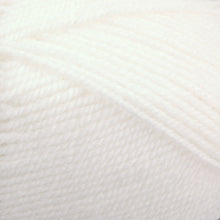 Load image into Gallery viewer, Dizzy Sheep - Plymouth Encore Worsted _ 0208 White Lot 645578
