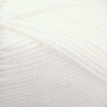 Load image into Gallery viewer, Dizzy Sheep - Plymouth Encore Worsted _ 0208 White Lot 645578