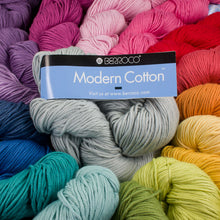 Load image into Gallery viewer, Dizzy Sheep - _Berroco Modern Cotton
