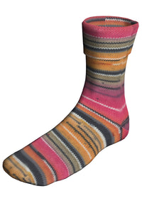 Dizzy Sheep - Berroco Sox _14108, Applecross, Drop Ship Item