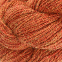 Load image into Gallery viewer, Dizzy Sheep - Berroco Ultra Alpaca Light _ 4268, Candied Yam Mix, Lot: 7C8751