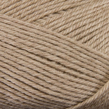 Load image into Gallery viewer, Dizzy Sheep - Berroco Ultra Wool _ 33103 Wheat lot 7D5567