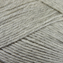 Load image into Gallery viewer, Dizzy Sheep - Berroco Ultra Wool _ 33108 Frost lot 7E0108