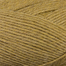 Load image into Gallery viewer, Dizzy Sheep - Berroco Ultra Wool _ 33117 Kohlrabi lot 7C8819