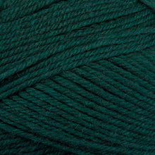 Load image into Gallery viewer, Dizzy Sheep - Berroco Ultra Wool _ 33149 Pine lot 7D7653
