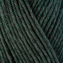 Load image into Gallery viewer, Dizzy Sheep - Berroco Ultra Wool _ 33158 Rosemary, Drop Ship Item