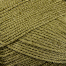Load image into Gallery viewer, Dizzy Sheep - Berroco Ultra Wool _ 3330 Lentil lot 7C8840