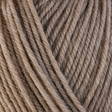 Load image into Gallery viewer, Dizzy Sheep - Berroco Ultra Wool Chunky _ 43103, Wheat, Lot: 7E0061

