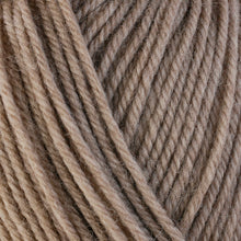 Load image into Gallery viewer, Dizzy Sheep - Berroco Ultra Wool Chunky _ 43103, Wheat, Lot: 7E0061