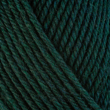 Load image into Gallery viewer, Dizzy Sheep - Berroco Ultra Wool Chunky _ 43149, Pine, Lot: 7E0079