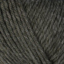 Load image into Gallery viewer, Dizzy Sheep - Berroco Ultra Wool Chunky _ 43170, Granite, Lot: 7E0088
