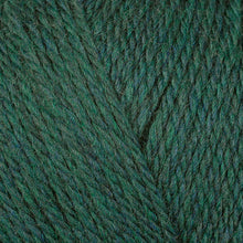 Load image into Gallery viewer, Dizzy Sheep - Berroco Ultra Wool DK _ 83149, Pine, Lot: 7D7673
