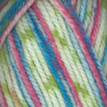 Load image into Gallery viewer, Dizzy Sheep - Plymouth Encore Chunky Colorspun _ 7511, Dark Pastel, Lot: 51985
