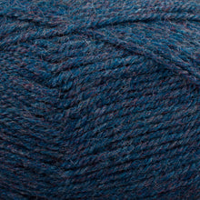 Load image into Gallery viewer, Dizzy Sheep - Plymouth Encore DK _ 0658 Blueberry Mix lot 76790
