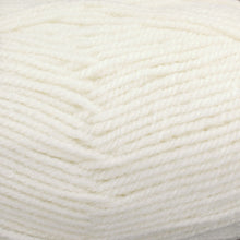 Load image into Gallery viewer, Dizzy Sheep - Plymouth Encore Worsted _ 0146 Winter White Lot 49992
