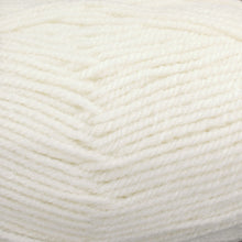 Load image into Gallery viewer, Dizzy Sheep - Plymouth Encore Worsted _ 0146 Winter White Lot 647202