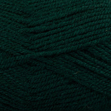Load image into Gallery viewer, Dizzy Sheep - Plymouth Encore Worsted _ 0204 Forest Green Lot 626524
