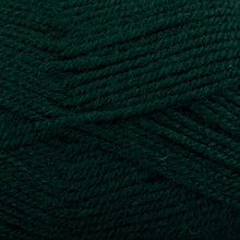 Load image into Gallery viewer, Dizzy Sheep - Plymouth Encore Worsted _ 0204 Forest Green Lot 626524