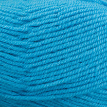 Load image into Gallery viewer, Dizzy Sheep - Plymouth Encore Worsted _ 0235 Miami Aqua Lot 617933