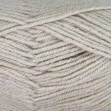 Load image into Gallery viewer, Dizzy Sheep - Plymouth Encore Worsted _ 0240 Taupe Lot 622877