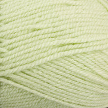 Load image into Gallery viewer, Dizzy Sheep - Plymouth Encore Worsted _ 0450 Light Lime Lot 622877