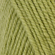 Load image into Gallery viewer, Dizzy Sheep - Plymouth Encore Worsted _ 0451 Green Gremlin Lot 624805
