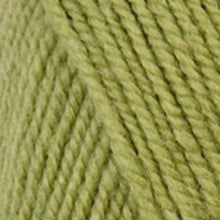 Load image into Gallery viewer, Dizzy Sheep - Plymouth Encore Worsted _ 0451 Green Gremlin Lot 624805