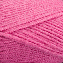 Load image into Gallery viewer, Dizzy Sheep - Plymouth Encore Worsted _ 0457 Carnation Lot 617933
