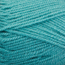 Load image into Gallery viewer, Dizzy Sheep - Plymouth Encore Worsted _ 0459 Lagoon Lot 637104 
