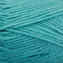 Load image into Gallery viewer, Dizzy Sheep - Plymouth Encore Worsted _ 0459 Lagoon Lot 637104